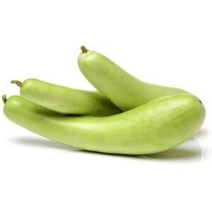 Bottle Gourd ( दूधी भोपळा )