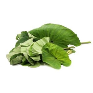 Colacassia ( अळूचे पान )