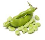 Field Beans ( वाल )