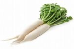 Radish ( मुळा )