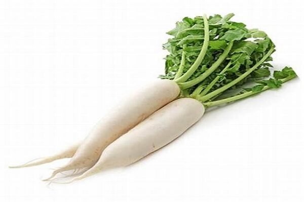 Radish ( मुळा )