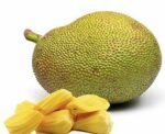 Jackfruit ( फणस )