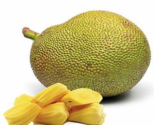 Jackfruit ( फणस )