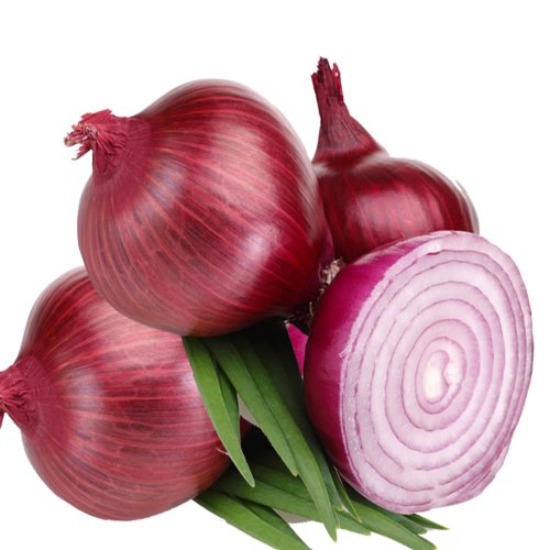 Onion ( कांदा )