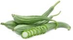 Ridgegourd ( दोडका )