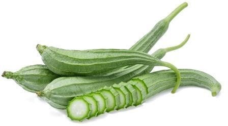 Ridgegourd ( दोडका )