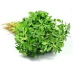 Fenugreek Leaves ( मेथी )