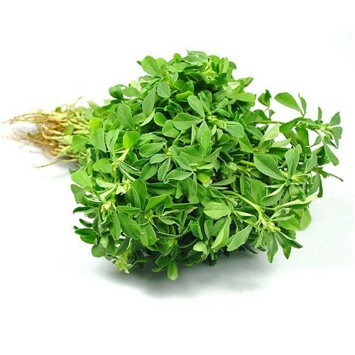 Fenugreek Leaves ( मेथी )