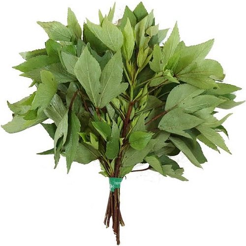 Gongura Leaves ( अंबाडी )