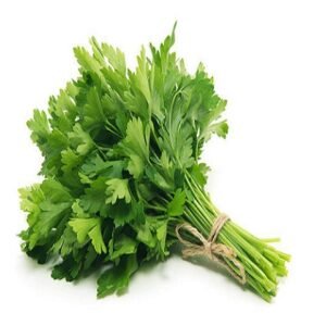 Coriander Leaves ( कोथिंबिर )