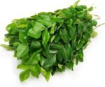 Curry leaves ( कढीपत्ता )