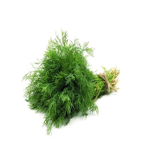 Dill ( शेपू )