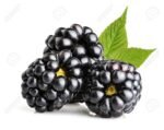 Blackberry ( जांभुळ )