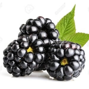 Blackberry ( जांभुळ )
