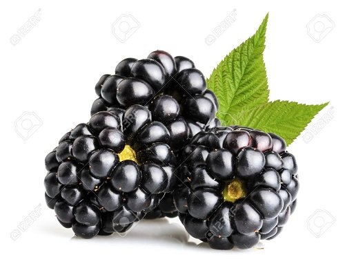 Blackberry ( जांभुळ )