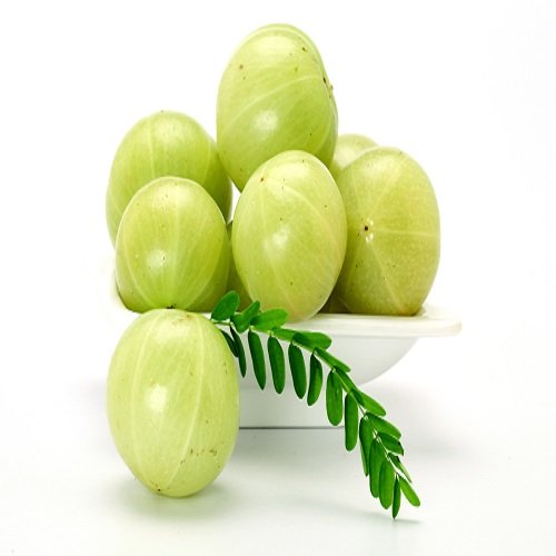 Gooseberry ( आवळा )
