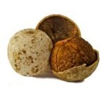 Ash Gourd ( कोहळा )