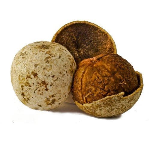 Ash Gourd ( कोहळा )