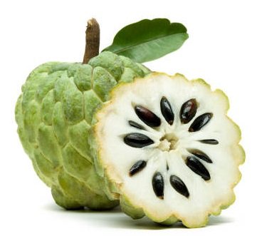 Custard Apple ( सिताफळ )