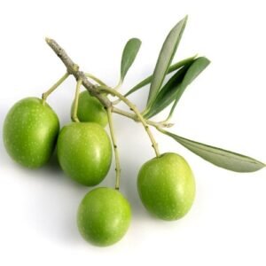 Jujube ( बोर )
