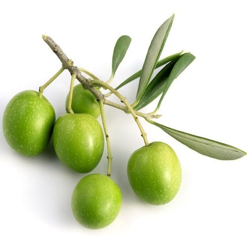 Jujube ( बोर )