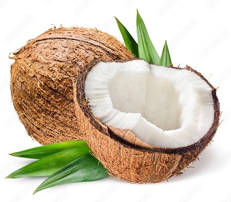 Coconut ( नारळ )