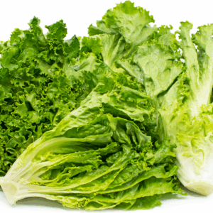 Green Lettuce
